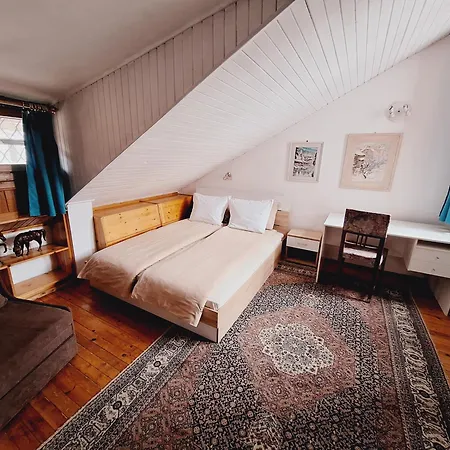 Apartman The Architect's - Center, Spacious, Unique *